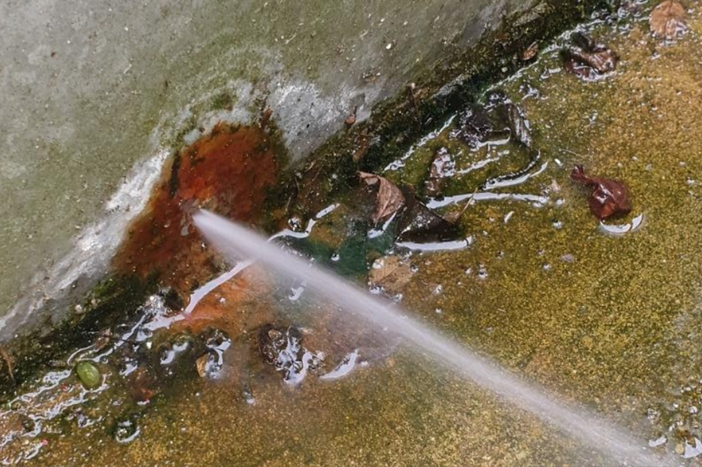 leaking-tanks-pump-auckland